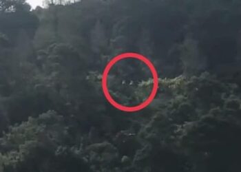 Mobil Wisatawan Masuk Jurang Bromo, Terdengar Teriakan Histeris