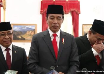 Pertemuan Surya Paloh-Jokowi di Istana Dinilai untuk Kendurkan Tensi Politik