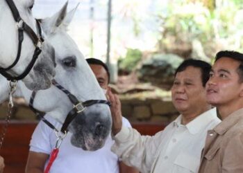 Baliho Prabowo-Jokowi Bertebaran di Solo, Gibran Buka Suara