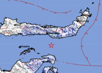 Gempa Kembali Guncang Gorontalo Utara, Terkini Berkekuatan M 4,6